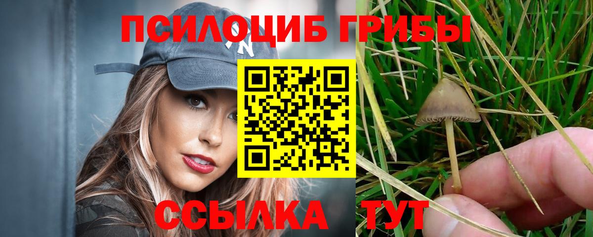 Псилоцибиновые грибы мицелий Знаменск